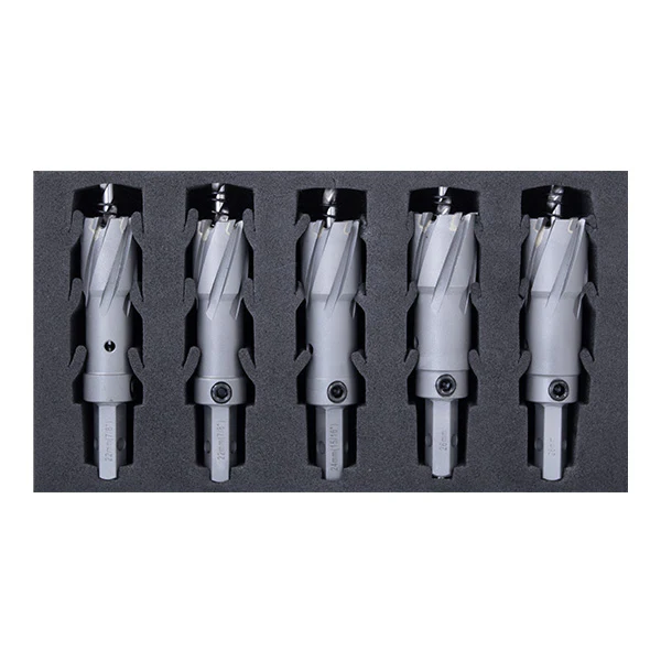 Set of five precision milling tools in foam case