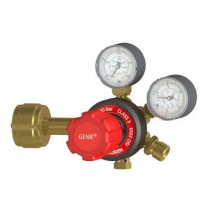 Hydrogen gas regulator with dual pressure gauges
